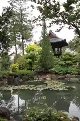 法善寺の庭園