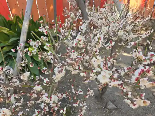 菅原神社(大阪府)