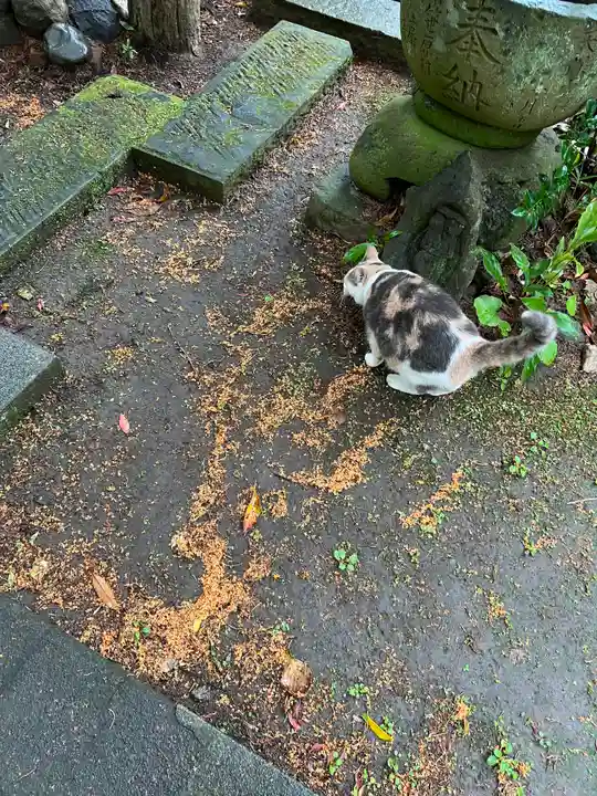 かっぱの寺 栖足寺(静岡県)