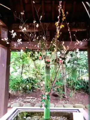 赤坂氷川神社(東京都)