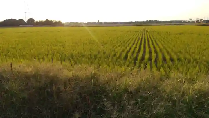 相野谷八幡神社の周辺