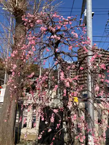 鹿島神社(神奈川県)
