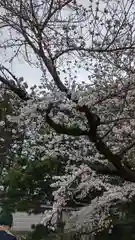 隨心院（随心院）(京都府)