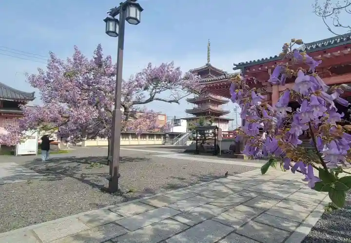 津観音のその他建物