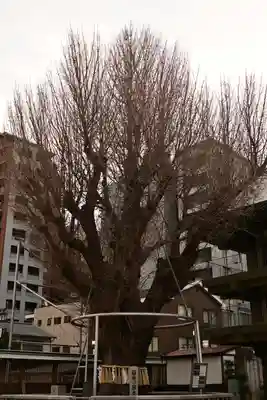 櫛田神社(福岡県)