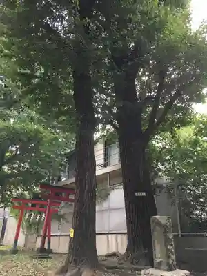 松羽稲荷神社の自然