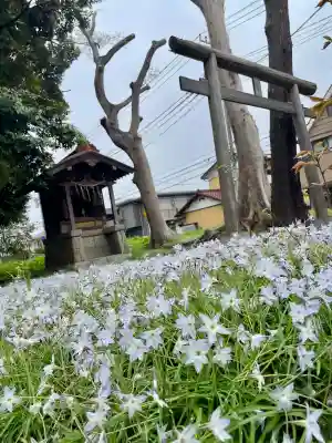 千葉寺の{uncategorized: "未分類", other: "その他", undefined: "問題あり", building: "その他建物", grave: "お墓", sacred_gate: "鳥居", guardian: "狛犬", statue: "像", buddha: "仏像", history: "歴史", nature: "自然", garden: "庭園", animal: "動物", pagoda: "塔", temizu: "手水舎", mountain_gate: "山門・神門", sanctuary: "本殿・本堂", subordinate: "末社・摂社", art: "芸術", scenery: "景色", jizo: "地蔵", ema: "絵馬", goshuin: "御朱印", omikuji: "おみくじ", items: "授与品その他", amulet: "お守り", goshuincho: "御朱印帳", eats: "食事", festival: "お祭り", votive_dance: "神楽", shichigosan: "七五三参", wedding: "結婚式", experience: "体験その他", initially: "初詣", around: "周辺", anti_infection: "感染症対策"}