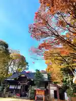 安積國造神社の本殿・本堂