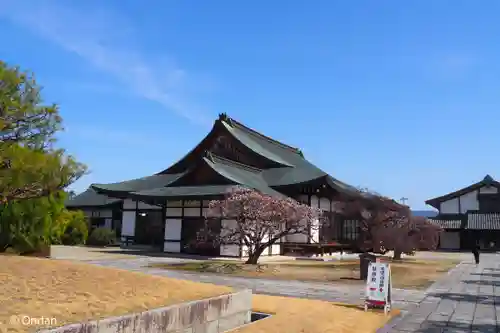 薬師寺(奈良県)