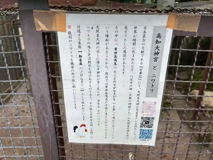 高知大神宮(高知県)