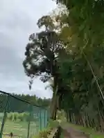 貴舩神社の周辺