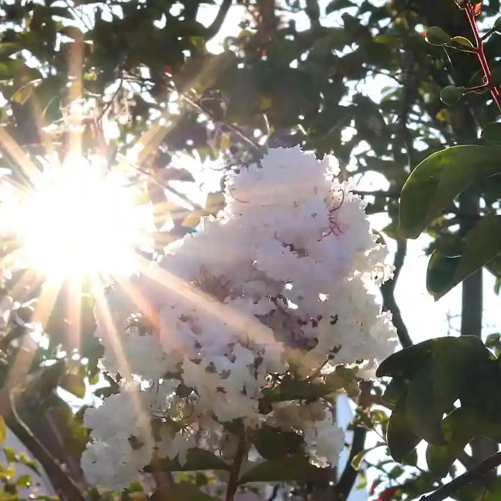 三津厳島神社(愛媛県)