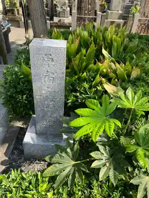 妙円寺のその他建物