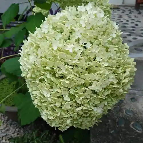 三輪神社の自然