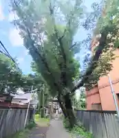 熊野神社(東京都)