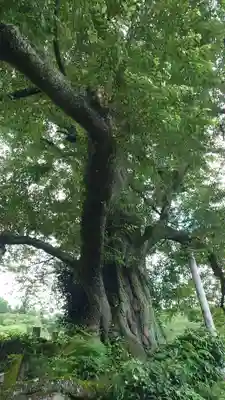 曹洞宗 永松山 龍泉寺(福島県)