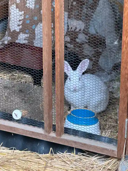 山家神社(長野県)