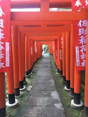 佐助稲荷神社の鳥居