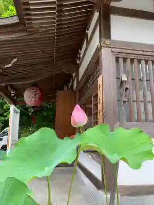 持寳院(多氣山不動尊)(栃木県)