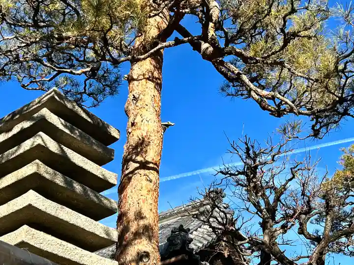 良性院(長野県)