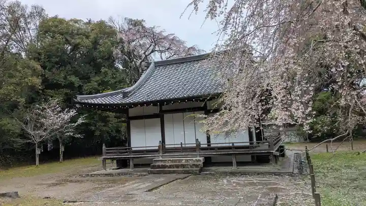 醍醐寺(京都府)