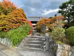 文覚寺の山門