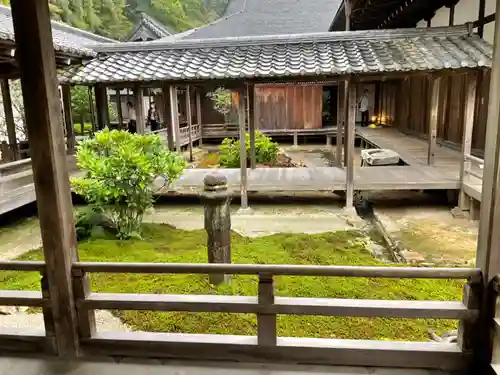 南禅寺の庭園