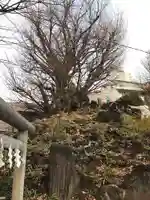 鳩森八幡神社(東京都)