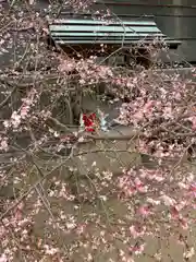 綱敷天神社(大阪府)