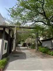 亀戸 香取神社の鳥居