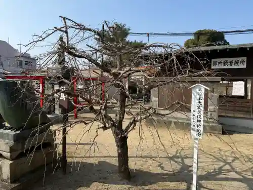 水田天満宮の{uncategorized: "未分類", other: "その他", undefined: "問題あり", building: "その他建物", grave: "お墓", sacred_gate: "鳥居", guardian: "狛犬", statue: "像", buddha: "仏像", history: "歴史", nature: "自然", garden: "庭園", animal: "動物", pagoda: "塔", temizu: "手水舎", mountain_gate: "山門・神門", sanctuary: "本殿・本堂", subordinate: "末社・摂社", art: "芸術", scenery: "景色", jizo: "地蔵", ema: "絵馬", goshuin: "御朱印", omikuji: "おみくじ", items: "授与品その他", amulet: "お守り", goshuincho: "御朱印帳", eats: "食事", festival: "お祭り", votive_dance: "神楽", shichigosan: "七五三参", wedding: "結婚式", experience: "体験その他", initially: "初詣", around: "周辺", anti_infection: "感染症対策"}