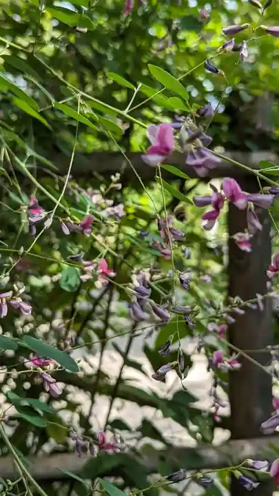 梨木神社(京都府)