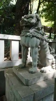 渋谷氷川神社の狛犬