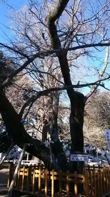 水戸八幡宮のその他建物