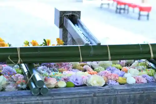 草加神社の{uncategorized: "未分類", other: "その他", undefined: "問題あり", building: "その他建物", grave: "お墓", sacred_gate: "鳥居", guardian: "狛犬", statue: "像", buddha: "仏像", history: "歴史", nature: "自然", garden: "庭園", animal: "動物", pagoda: "塔", temizu: "手水舎", mountain_gate: "山門・神門", sanctuary: "本殿・本堂", subordinate: "末社・摂社", art: "芸術", scenery: "景色", jizo: "地蔵", ema: "絵馬", goshuin: "御朱印", omikuji: "おみくじ", items: "授与品その他", amulet: "お守り", goshuincho: "御朱印帳", eats: "食事", festival: "お祭り", votive_dance: "神楽", shichigosan: "七五三参", wedding: "結婚式", experience: "体験その他", initially: "初詣", around: "周辺", anti_infection: "感染症対策"}