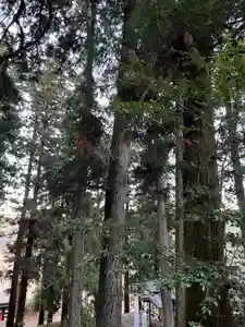 大宮温泉神社(栃木県)(2022年12月28日(水) 06時56分24秒投稿)