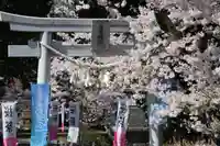 高司神社〜むすびの神の鎮まる社〜の鳥居