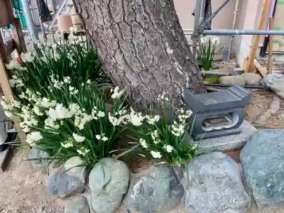 本成寺の{uncategorized: "未分類", other: "その他", undefined: "問題あり", building: "その他建物", grave: "お墓", sacred_gate: "鳥居", guardian: "狛犬", statue: "像", buddha: "仏像", history: "歴史", nature: "自然", garden: "庭園", animal: "動物", pagoda: "塔", temizu: "手水舎", mountain_gate: "山門・神門", sanctuary: "本殿・本堂", subordinate: "末社・摂社", art: "芸術", scenery: "景色", jizo: "地蔵", ema: "絵馬", goshuin: "御朱印", omikuji: "おみくじ", items: "授与品その他", amulet: "お守り", goshuincho: "御朱印帳", eats: "食事", festival: "お祭り", votive_dance: "神楽", shichigosan: "七五三参", wedding: "結婚式", experience: "体験その他", initially: "初詣", around: "周辺", anti_infection: "感染症対策"}