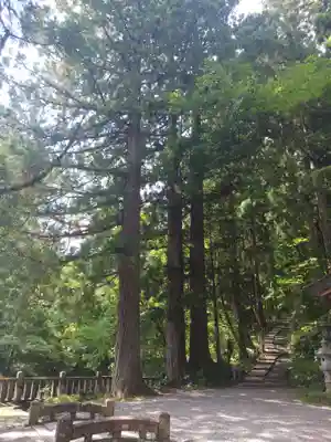 戸隠神社中社(長野県)