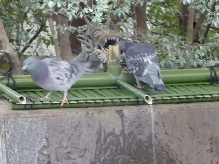 谷保天満宮の動物