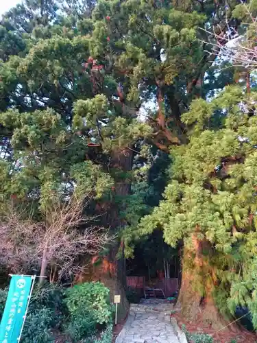 熊野那智大社のその他建物