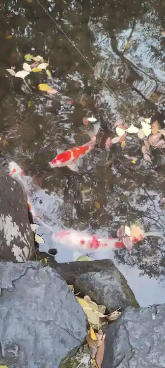 熱田神宮(愛知県)