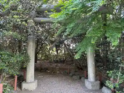 櫻木神社(千葉県)