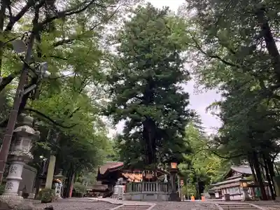 諏訪大社下社秋宮(長野県)