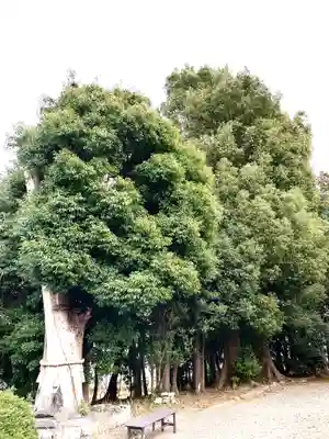 鹿嶋神社(茨城県)