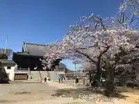 金蔵寺(千葉県)