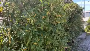 秩父札所十三番 慈眼寺(埼玉県)(2022年09月28日(水) 14時41分13秒投稿)