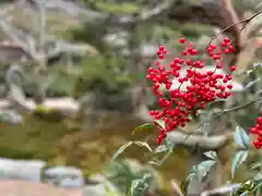 正寿院(京都府)