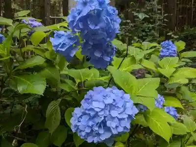 丹内山神社(岩手県)