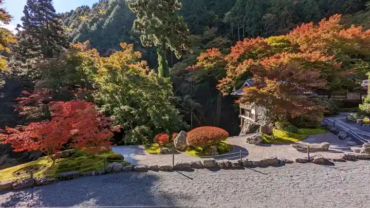 古知谷阿弥陀寺(京都府)